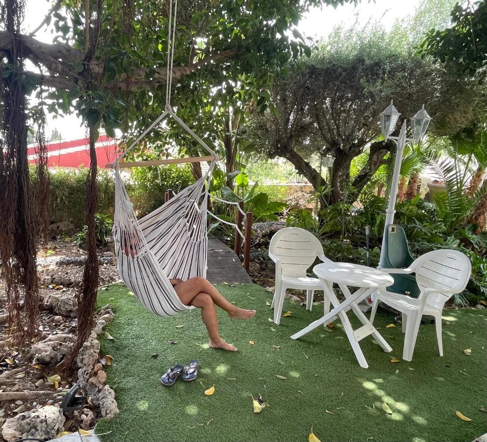 Suite Privada Frente A La Piscina Para 2 Personas Con Sofa Cama Para 2 Mas 4P No Es Casa Completa San Vicente Raspeig Екстериор снимка