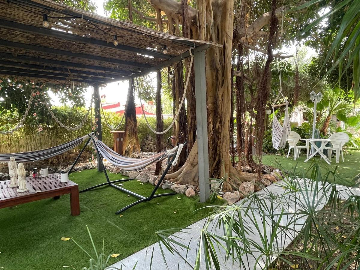 Suite Privada Frente A La Piscina Para 2 Personas Con Sofa Cama Para 2 Mas 4P No Es Casa Completa San Vicente Raspeig Екстериор снимка